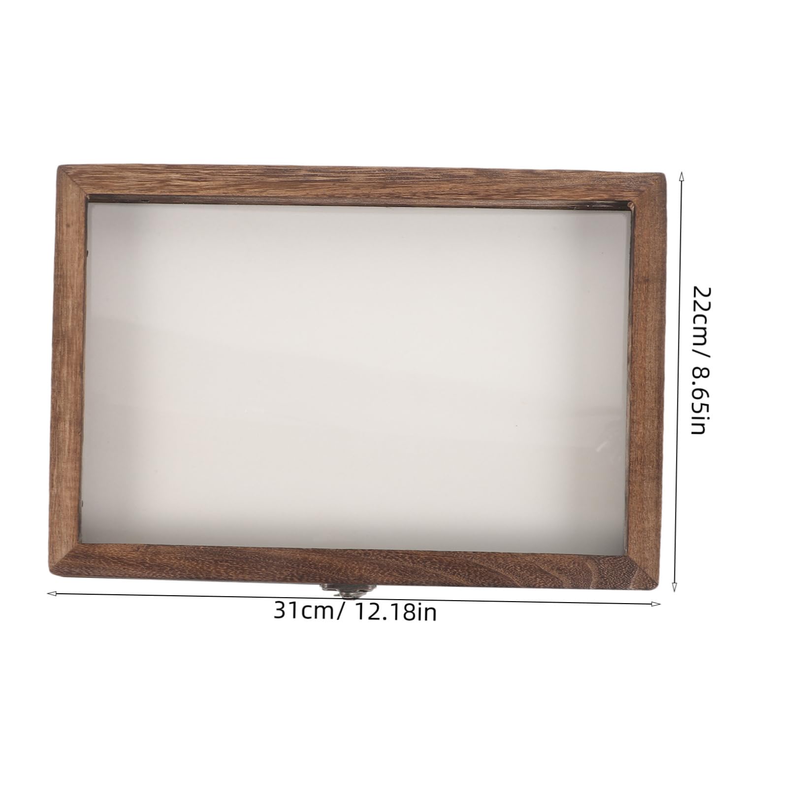HOLIDYOYO Vintage Insect Display Box Acrylic Case for Butterfly Specimen Wall Hanging Storage Style