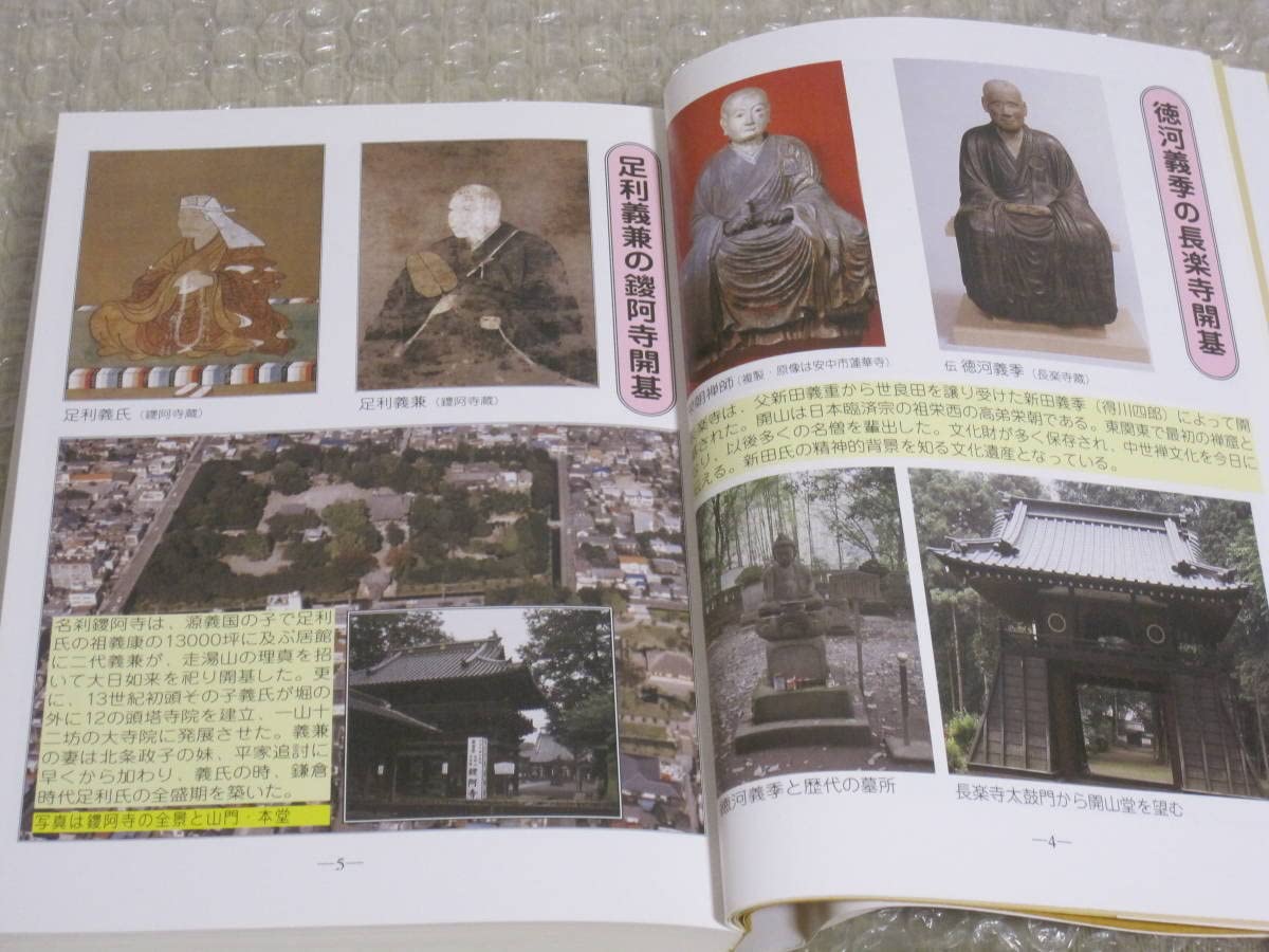 Amazon | 新田一族の盛衰新田義貞 南朝 武将 新田氏 岩松氏 山名