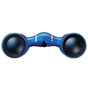 Nikon ACULON T02 Compact Binoculars - 21mm Objective Lenses, Multilayer-Coated Optics, Ergonomic Compact Design Binoculars for Travel, Sports, Concerts, Sightseeing