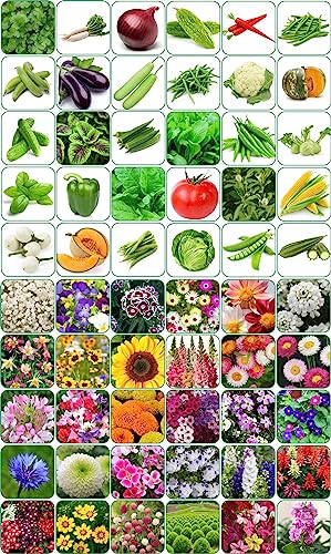 Image of Aero Seeds 60 variety(30 flower and 30 vegetable) seeds combo pack with instruction manual.