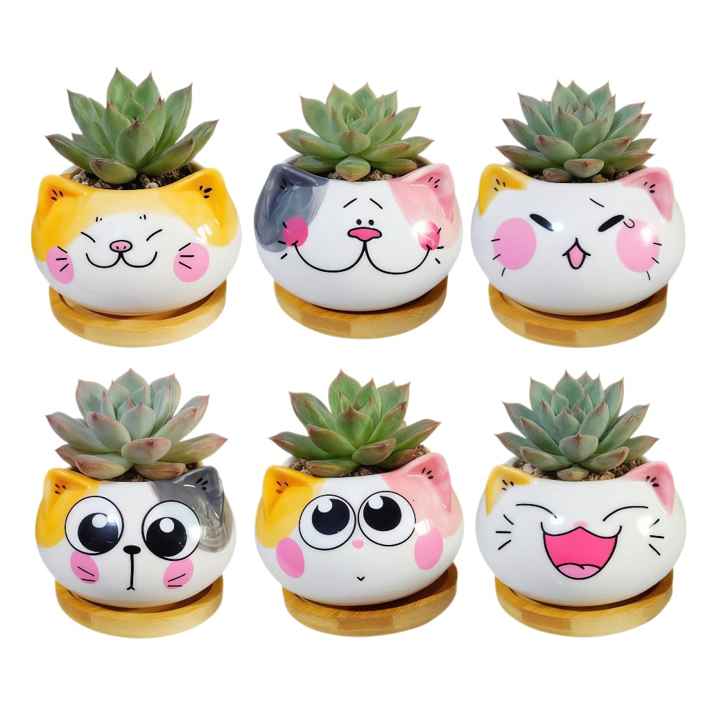 Cuteforyou Cat Shaped Succulent Pot 6 Pack