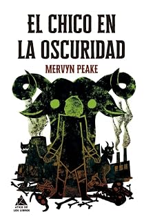 El chico en la oscuridad