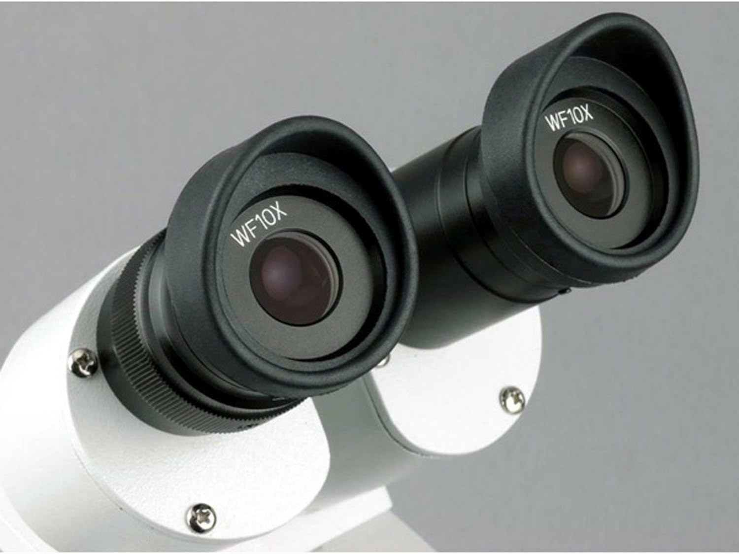 AmScope SE305R-PZ-E 10X-20X-30X-60X Microscopio est-reo, Usb de la c-mara