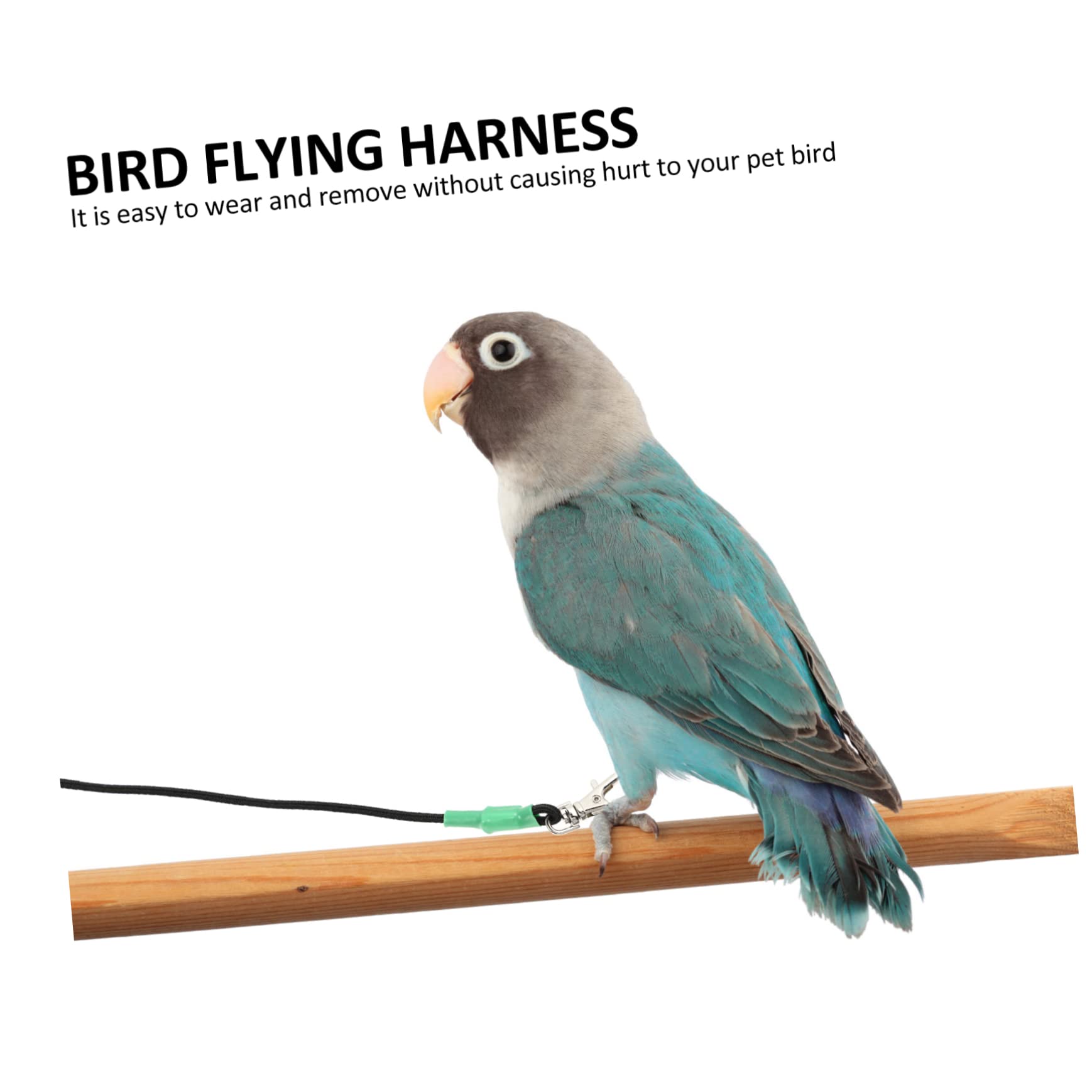 2 Correas de Nailon para Loros Resistentes Y Cómodas Ideales para Volar al Aire