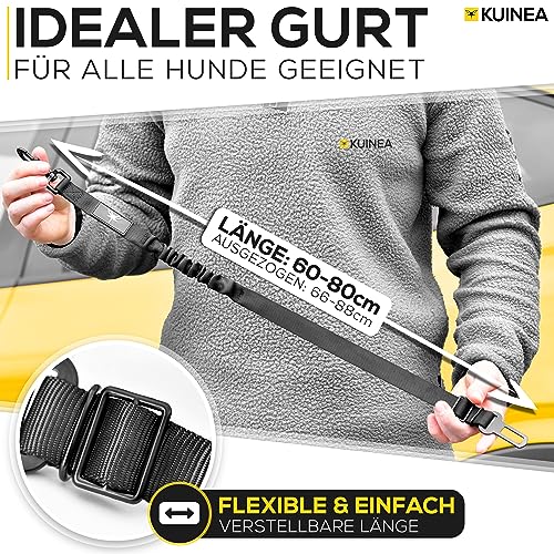 KUINEA® 2X Sicherheitsgurt für Hunde – elastischer Hundegurt mit Rückdämpfung & Verstellbarer Länge – Anschnallgurt fürs Auto, Robustes Hunde Zubehör für alle Rassen & Autotypen
