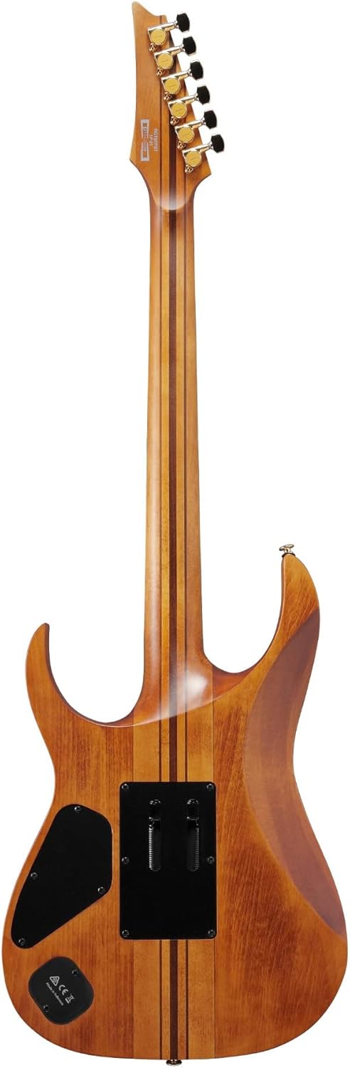 Ibanez RGT1220PB Premium Electric Guitar - Antique Brown Stained