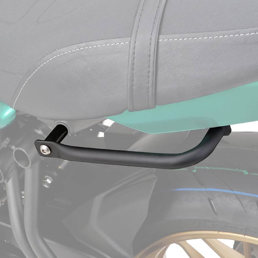 Amazon | デイトナ(Daytona) Z650RS(22)専用 アシストグリップ 左側 荷