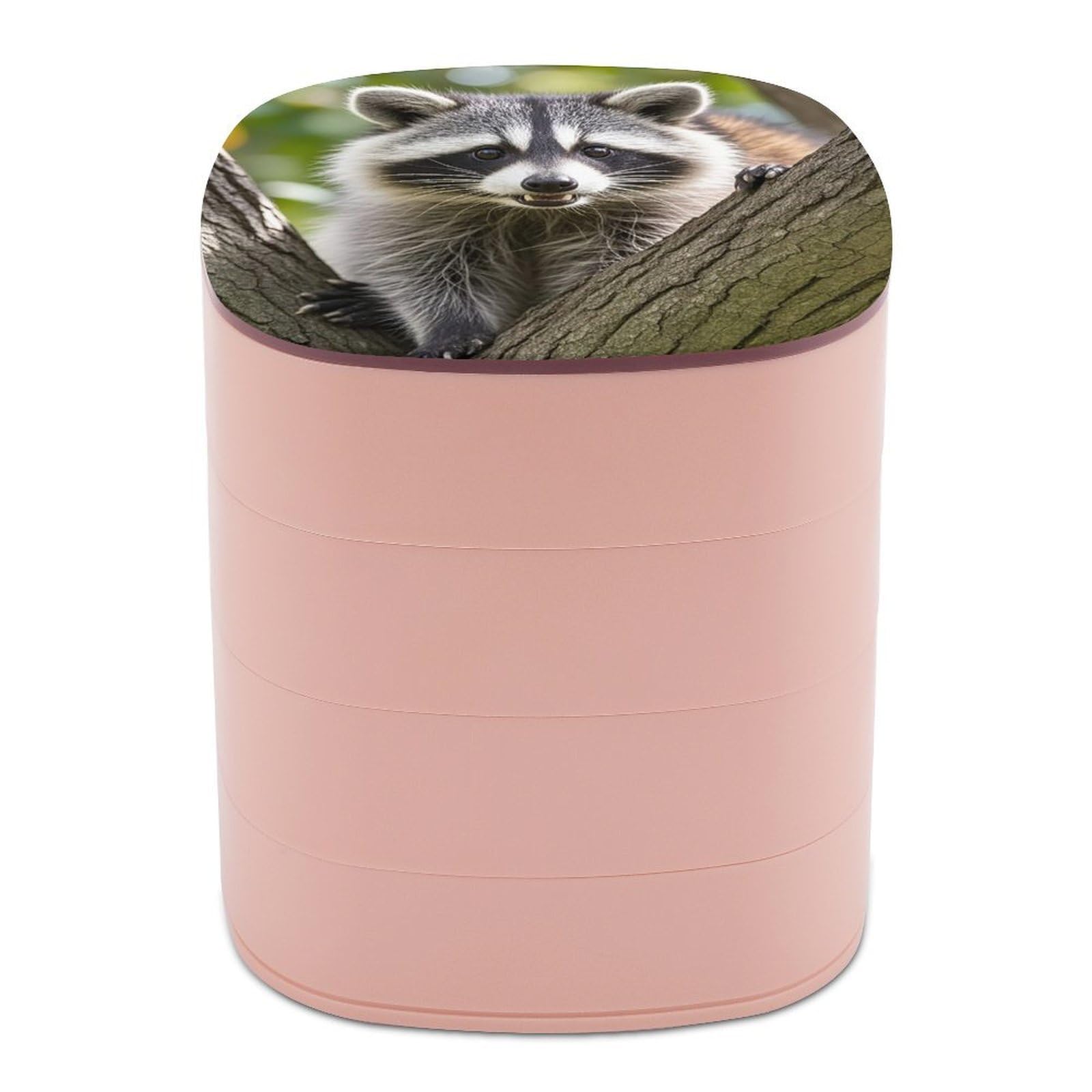 FekiLoot Rotating Raccoon Jewelry Box Large Capacity Jewelry Organizer with Mirror 4 Tier Hoop Ring And Earring Holder With Lid Small Travel Jewelry Case for Women