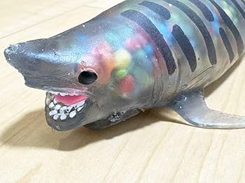 オーシャンアタック ブックレット付き ラブカ 金 ブックレット オーシャンアタック &co