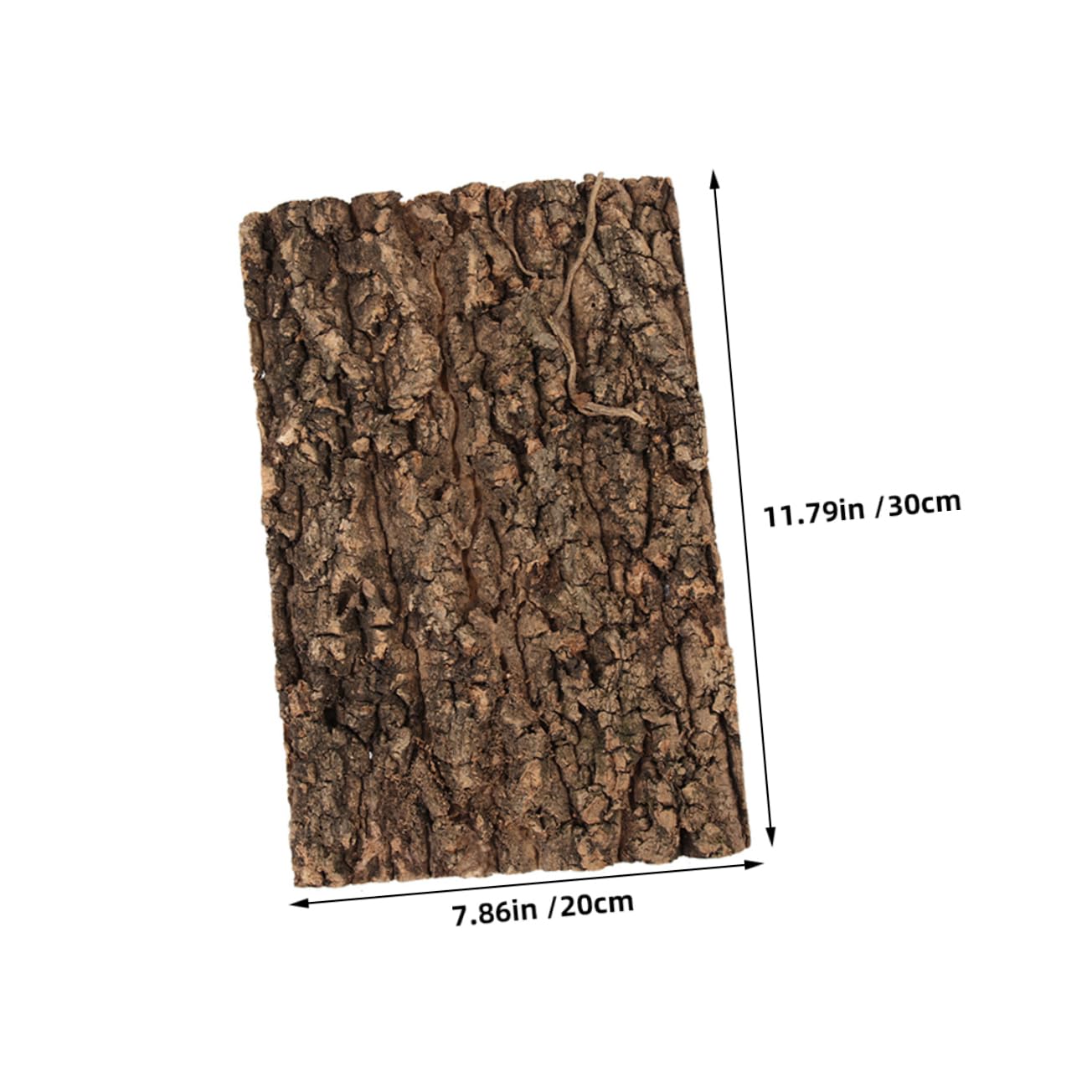 Mipcase Lizard Climbing Tree Bark Decor 2pcs Reptile Tank Accessories Versatile Reptile Terrarium Background Board