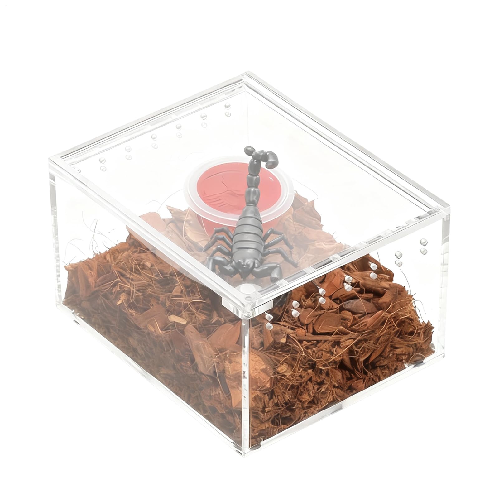Hábitat para Araña Saltarina,Recipiente Transparente para Crianza y Alimentación | Recinto Para Serpientes de Acrílico | Para Reptiles Lagartija Serpiente Tortuga Rana Gecko Ermitaño y Contenedor para — view 9