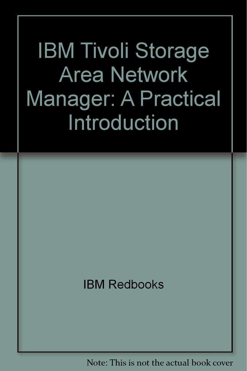 Buy IBM Tivoli Storage Area Network Manager: A Practical Introduction — BookShops.in