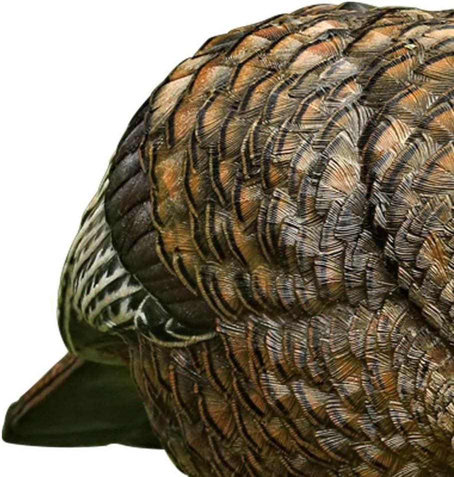 Avian X LCD Feeder Hen Turkey Decoy
