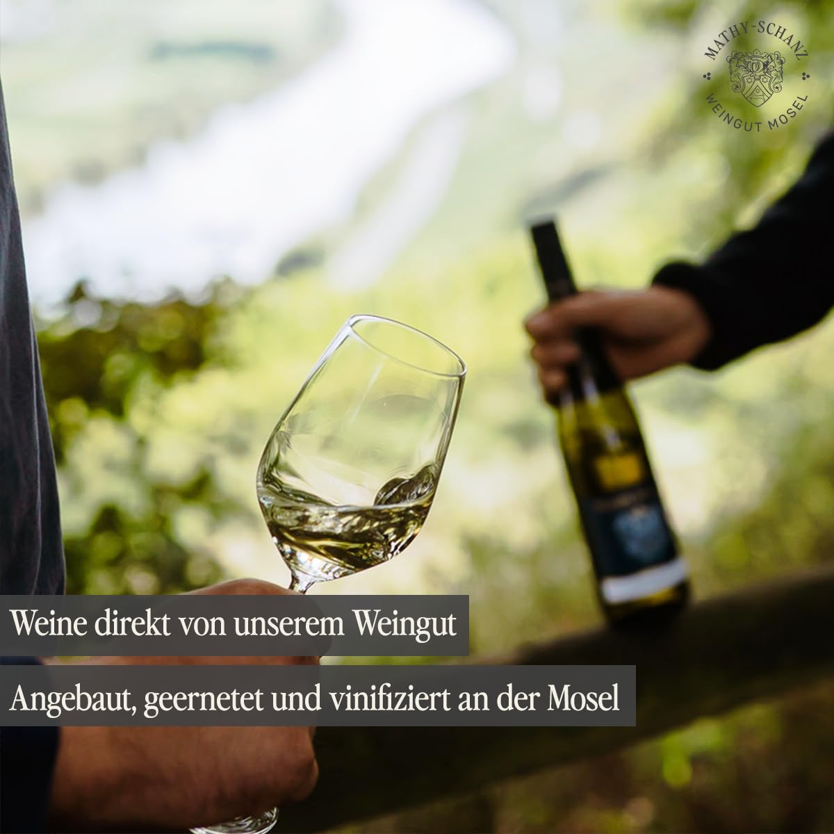 Weingut Mathy-Schanz - Grauburgunder Trocken | Moselwein vom Winzer (6 Flaschen (6 x 0,75l))
