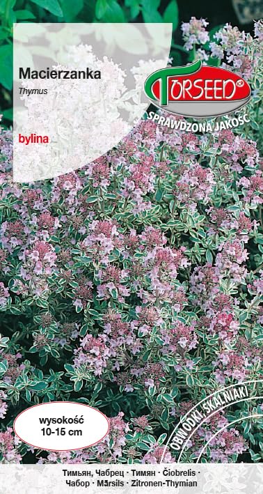 Nasiona Macierzanka purpurowa 0,3g - Torseed