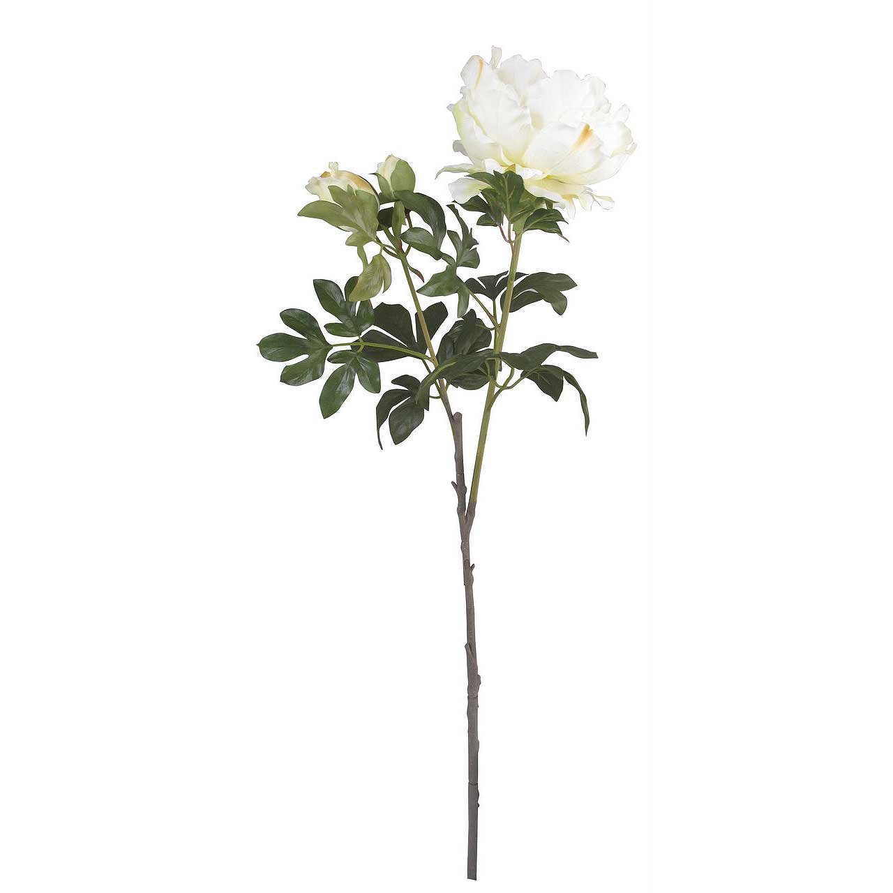 Cream Pinky Peony Rose Artificial Silk Flower (97cm)