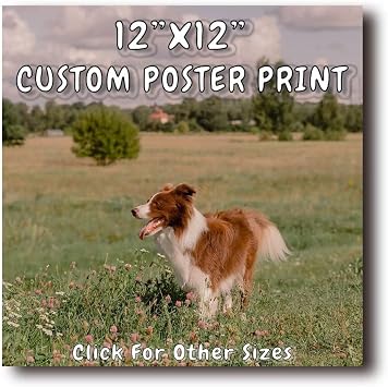 PTATT Upload Your Image or Photo - Custom Personalized Photo to Poster Printing, Wall Art Prints 12x12 inch