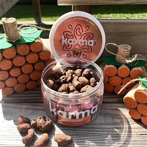 Cinnamon Cashews With Skin By Karma Nuts, Whole, Sweet, Roasted, Vegan, Gluten Free, Low Net Carb, Natural, Everyday Nut Snack, 8Oz Jar (Pack Of 1) #TOP4