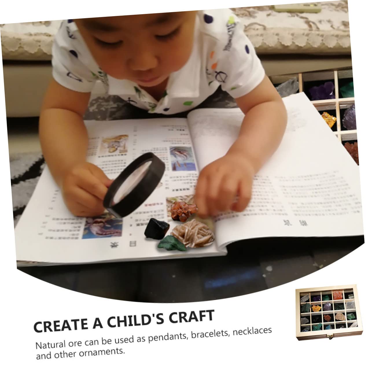 20 Stück Teiliges Mineralien Natursteine Sammlungsbox für Geologische Lehrproben für