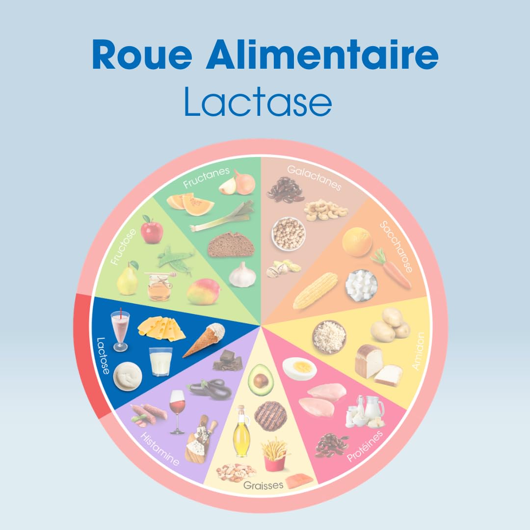Lactase 20 000 enzymes digestives - 50 comprimés sécables avec | Complément alimentaire pour l'intolérance au lactose | Enzyme lactase qui aide à digérer les produits laitiers | Dosage le plus élevé