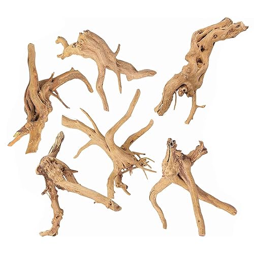Driftwood for Aquarium Natural Spider Wood Assorted Plant Stump 6