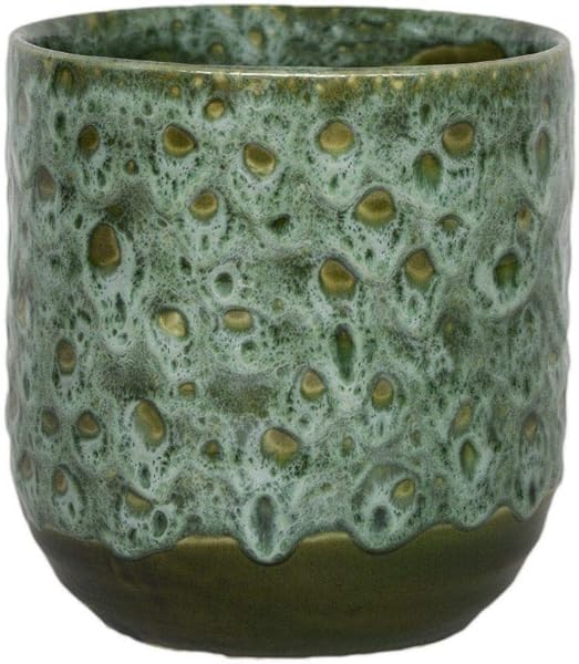 Ivyline 13 cm glaserad växtkruka med texturerad design
