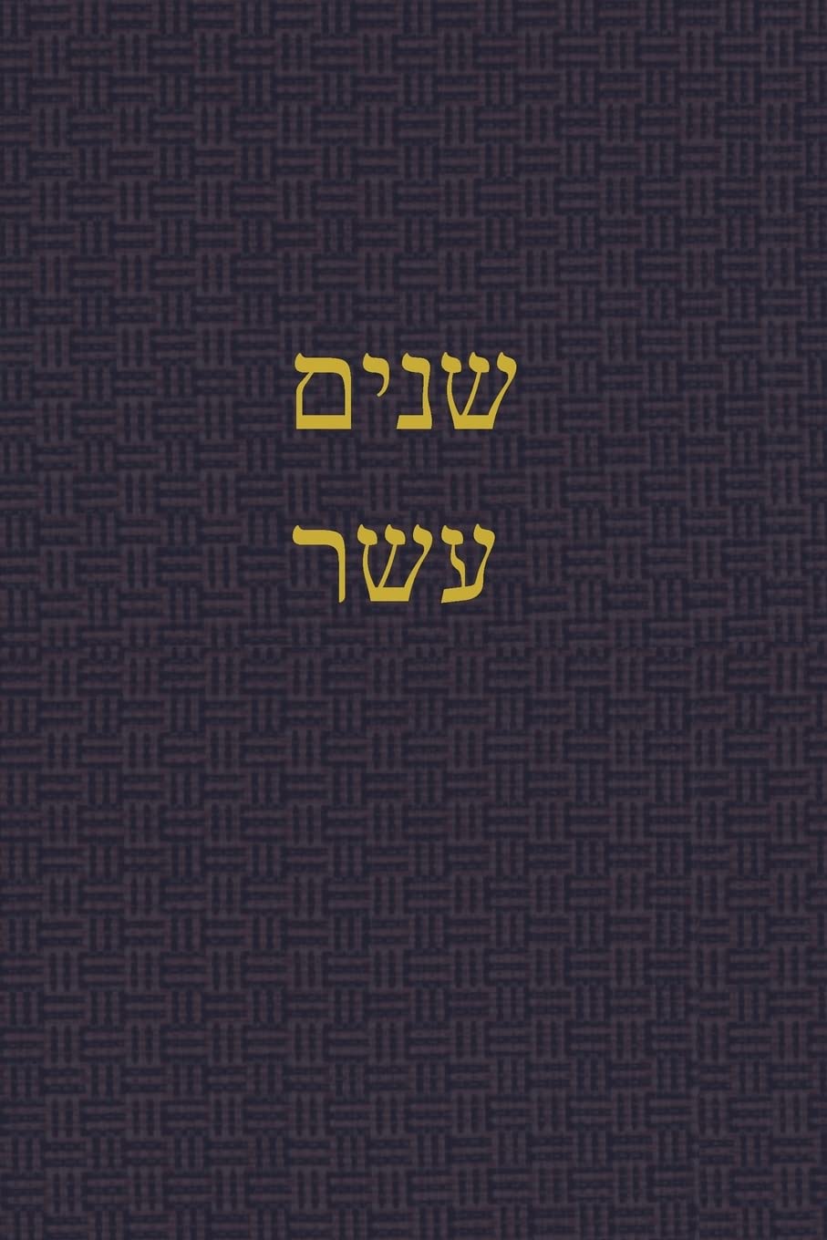 The Book of the Twelve: A Journal for the Hebrew Scriptures: 8