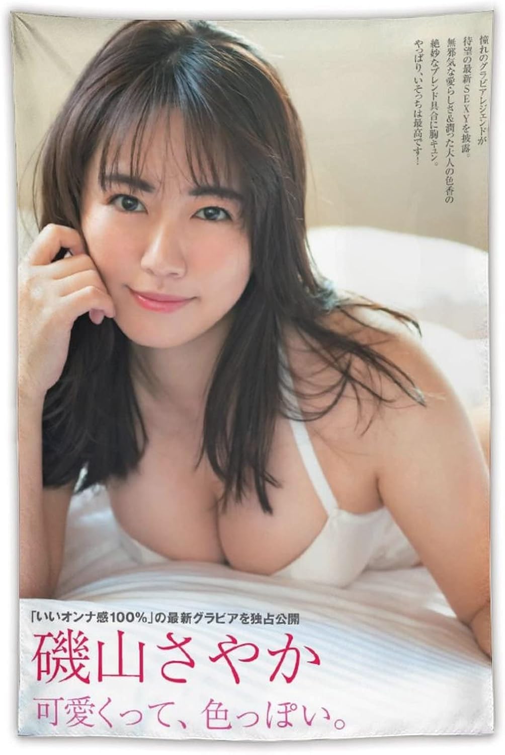 Amazon Co Jp 磯山さやか水着グラビアアイドル清純写真ビキニ 3 アートパネル 壁アート タペストリー モダン部屋飾り 壁の絵 インテリア ホームアートワーク30 X40 ホーム キッチン