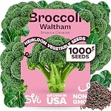 SVI 1000 Waltham Broccoli Seeds (Brassica oleracea) – Waltham 29 Broccoli Seed Packets, Brassica Seed – Cool Season Heirloom Vegetable Seeds for Outdoors, Vegetable Garden