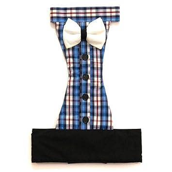 That Dog In Tuxedo The Cummerbund Dog Tuxedo - Blue Plaid (Size L)