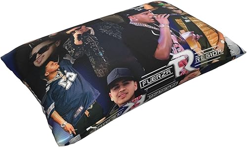 Miniatura 3 de OBLUE Fuerza Singer Regida Band - Fundas de almohada de 20 x 30 pulgadas, funda de almohada para exteriores para decoración de sofá