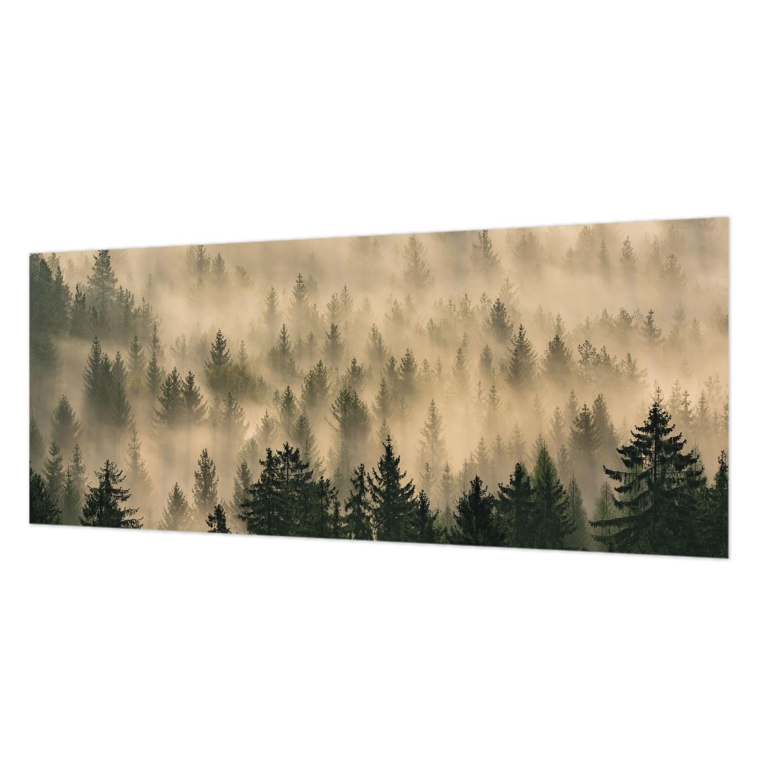 Papier peint intissé brouillard forestier 250x104 cm pour la décoration murale du salon