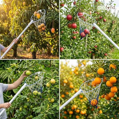 Image of ecofynd Fruit Picker Tool with Pole Attachment, Metal Frame & Nylon Net Basket for Mango, Apple, Lemon & Orange, Lightweight Fruit Harvester for Safe Fruit Picking from Trees, Garden & Farm (White)