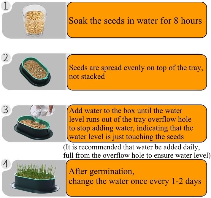 Miniatura 5 de Bandeja de germinado de semillas con agujeros de drenaje Cultivador de hierba de trigo Contenedor de germinación para jardín hogar