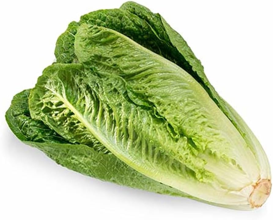 FreshtoHome | Lettuce Romaine 1 Unit | Approx 450g+ (Jordan)