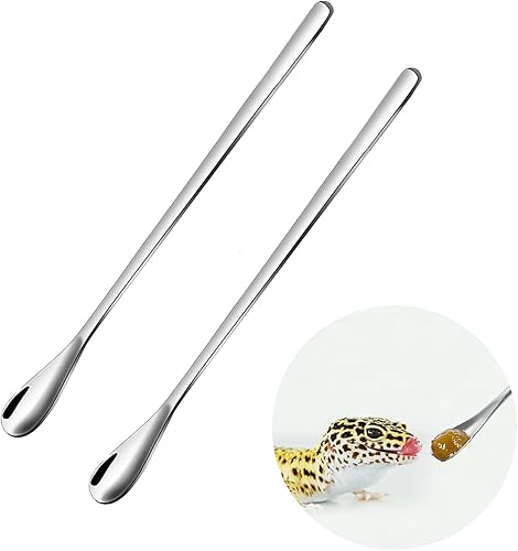 2 cucharas de comida para reptiles, mezcla de frutas en polvo, herramienta de alimentación de mango largo, se adapta a gárgola crestada, lagarto