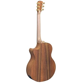 Amazon | Cole Clark (コール・クラーク) カッタウェイ