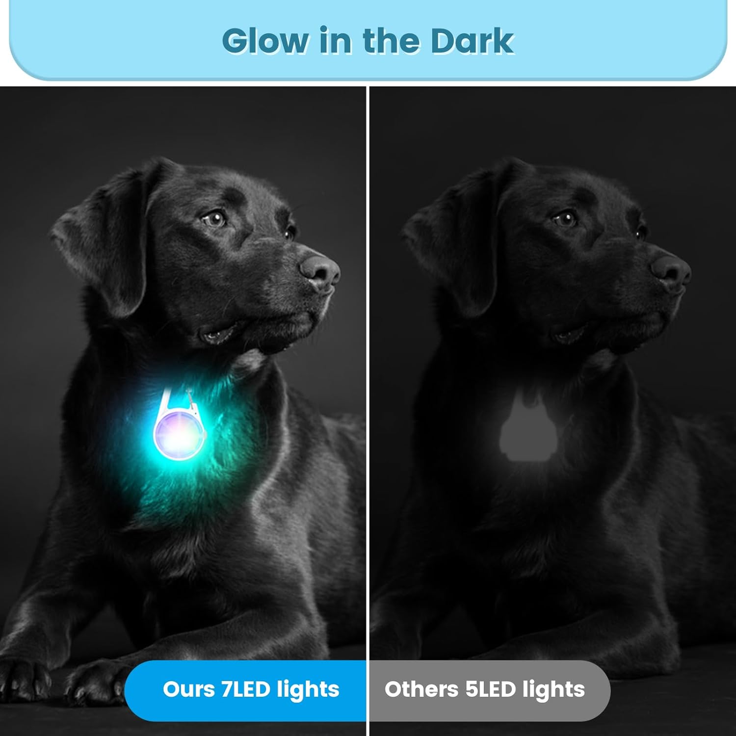 2 Luci LED Per Collare Cani E Gatti - Impermeabile, 3 Modalit&agrave;, Sicurezza Notturna