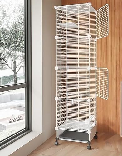   ^B LAJOKING   ̂obt ANZT[ƃLX^[t tFX RjA uo[h IJCR tB`p (4w)