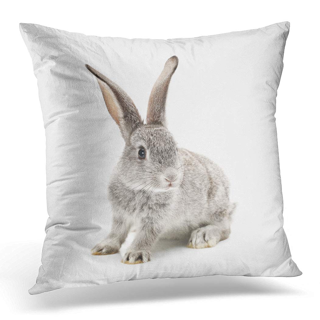 Awowee Color 3 Cushion Cover 45X45cm/18X18inches Gray Animal Grey Rabbit On Easter Farm House Wild Home Decor Throw Pillow Cover Square Pillowcase For Bed Sofa