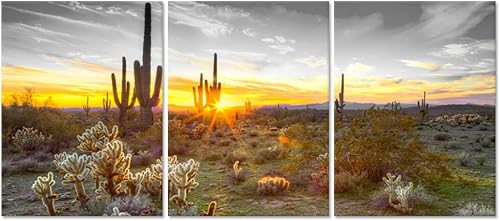 sechars Lienzo de Arizona para pared, diseño de paisaje del desierto de Arizona, pintura de cactus del suroeste para decoración de sala de estar y