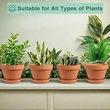 vensovo 8 Inch Terracotta Shallow Planter Pots with Saucers, 4 Pack