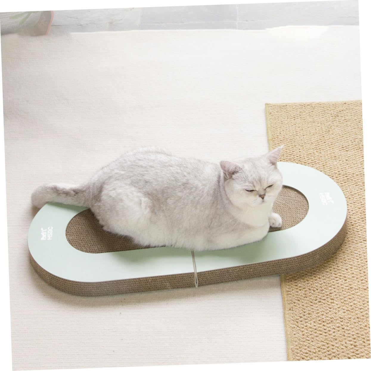 YARNOW Rascador para Gatos de Cartón Ondulado Plegable Bola para Desestresar Hogar