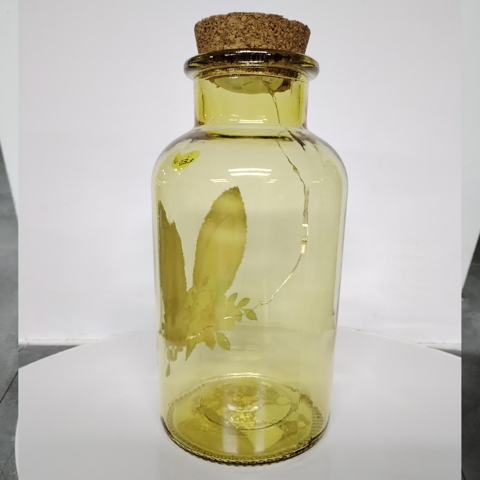 MJ PREMIER Glass Jar with Wood Lid - Cute Decorative Canisters for Nut, Coffee, Sugar Storage