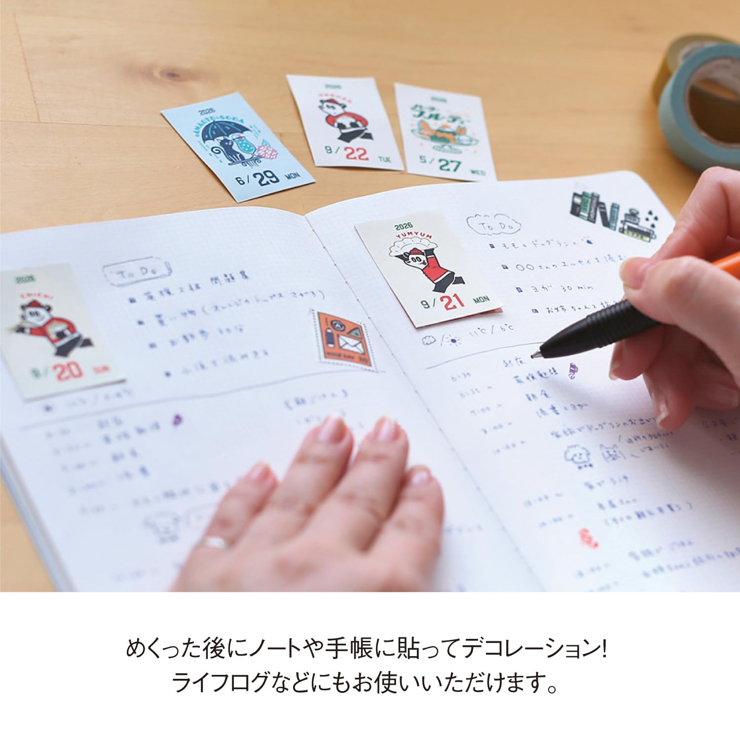 Amazon | 新日本カレンダー 2026年 カレンダー 日めくり オビワン