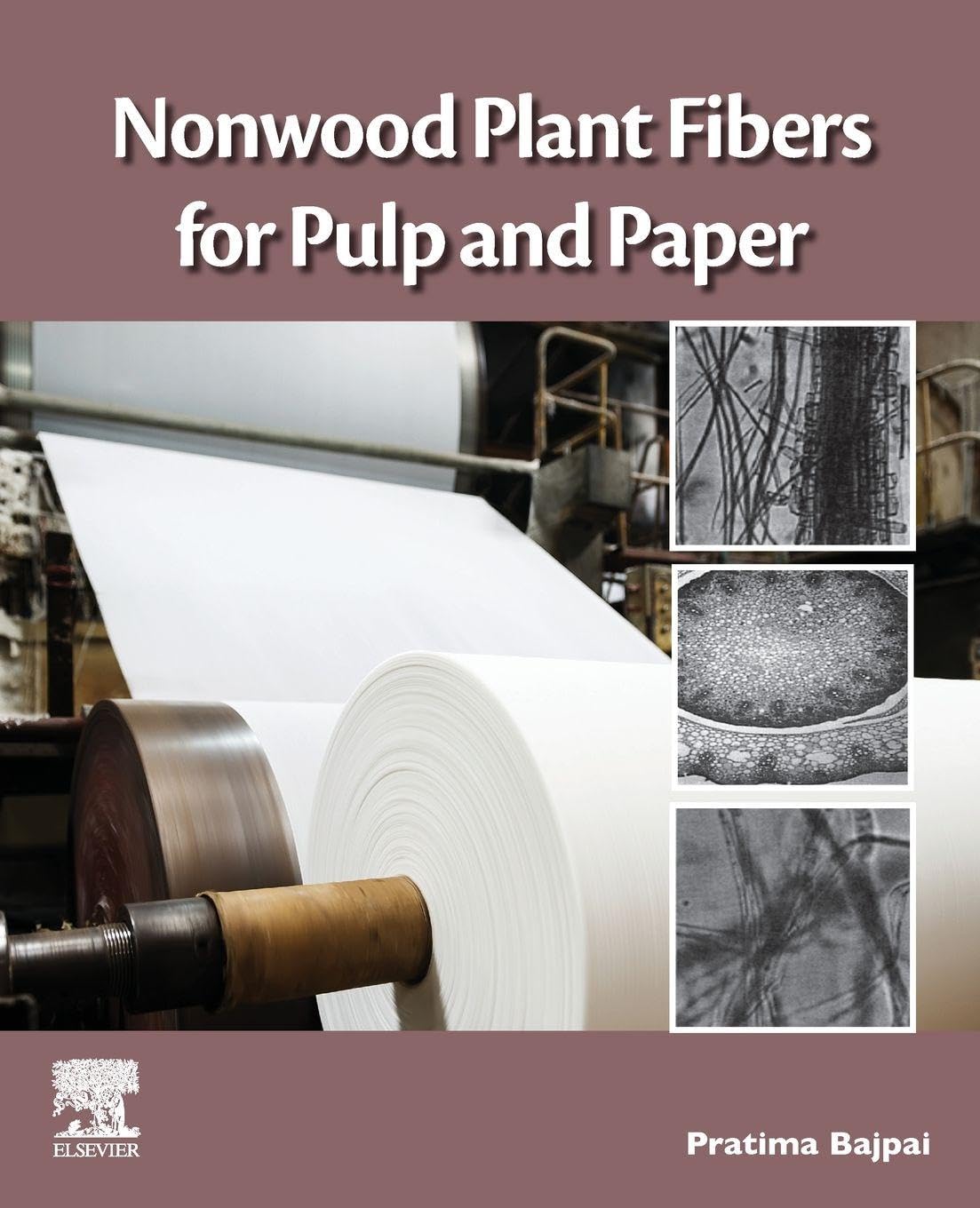 Buy Nonwood Plant Fibers for Pulp and Paper — BookShops.in