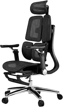 61n2Xo-iWIL._AC_UF350,