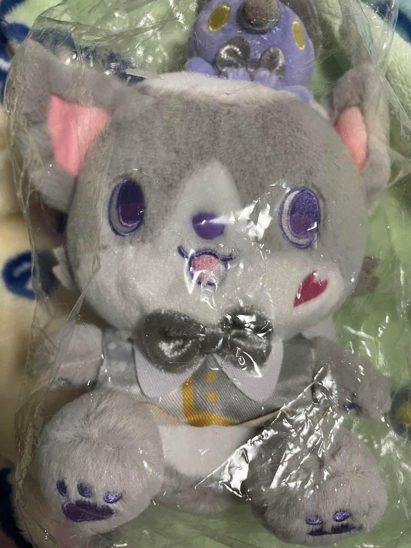 カシワバゴム 柏葉ゴム バンビーノ リナータ 24番 フィカス ゴムの木