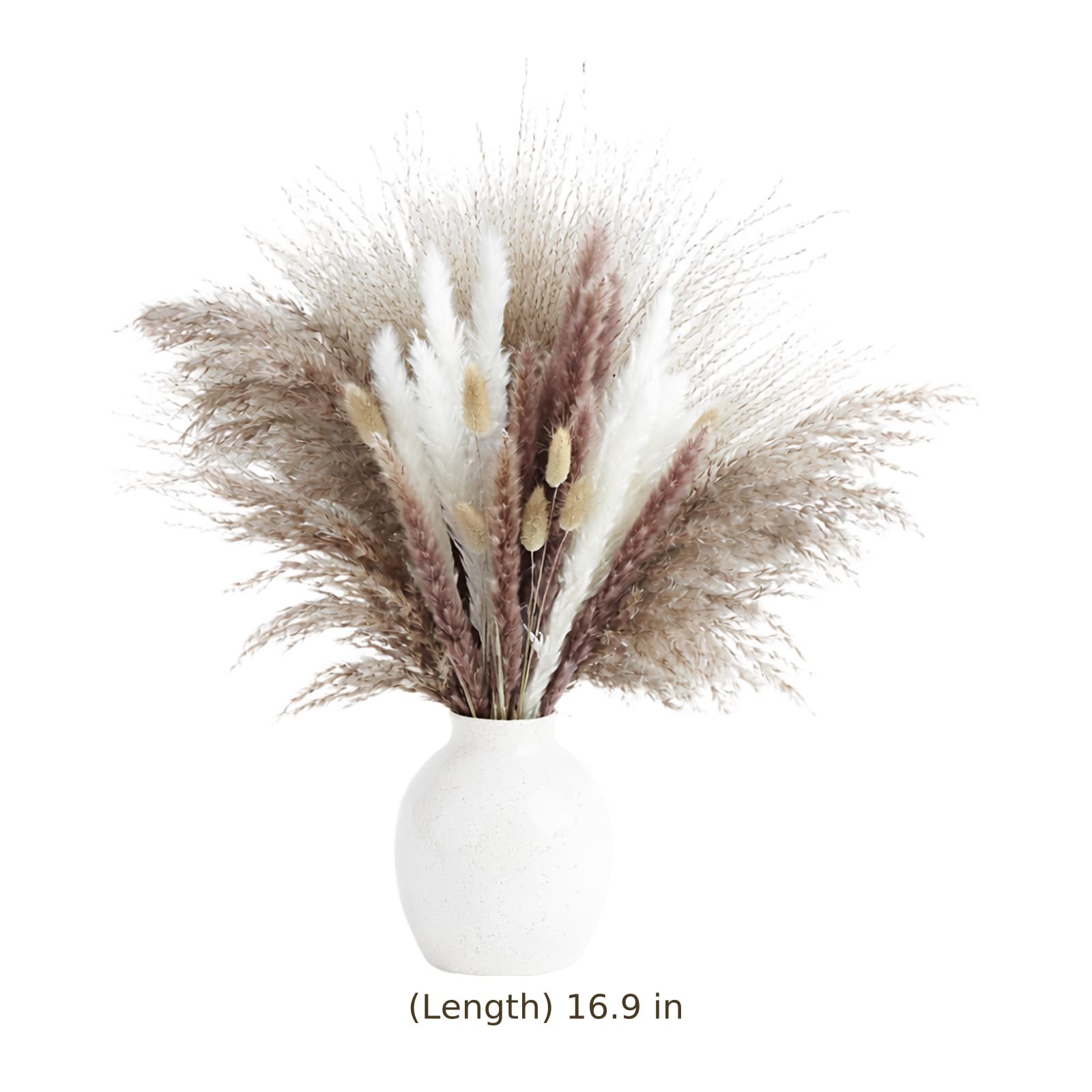 Bouquet de Fleurs séchées Multicolores Naturelles, Composition de Pampa 43 x 5 x 5 cm, Texture Moelleuse et Couches Riches, déco Florale rétro prête à Poser pour Maison et fête