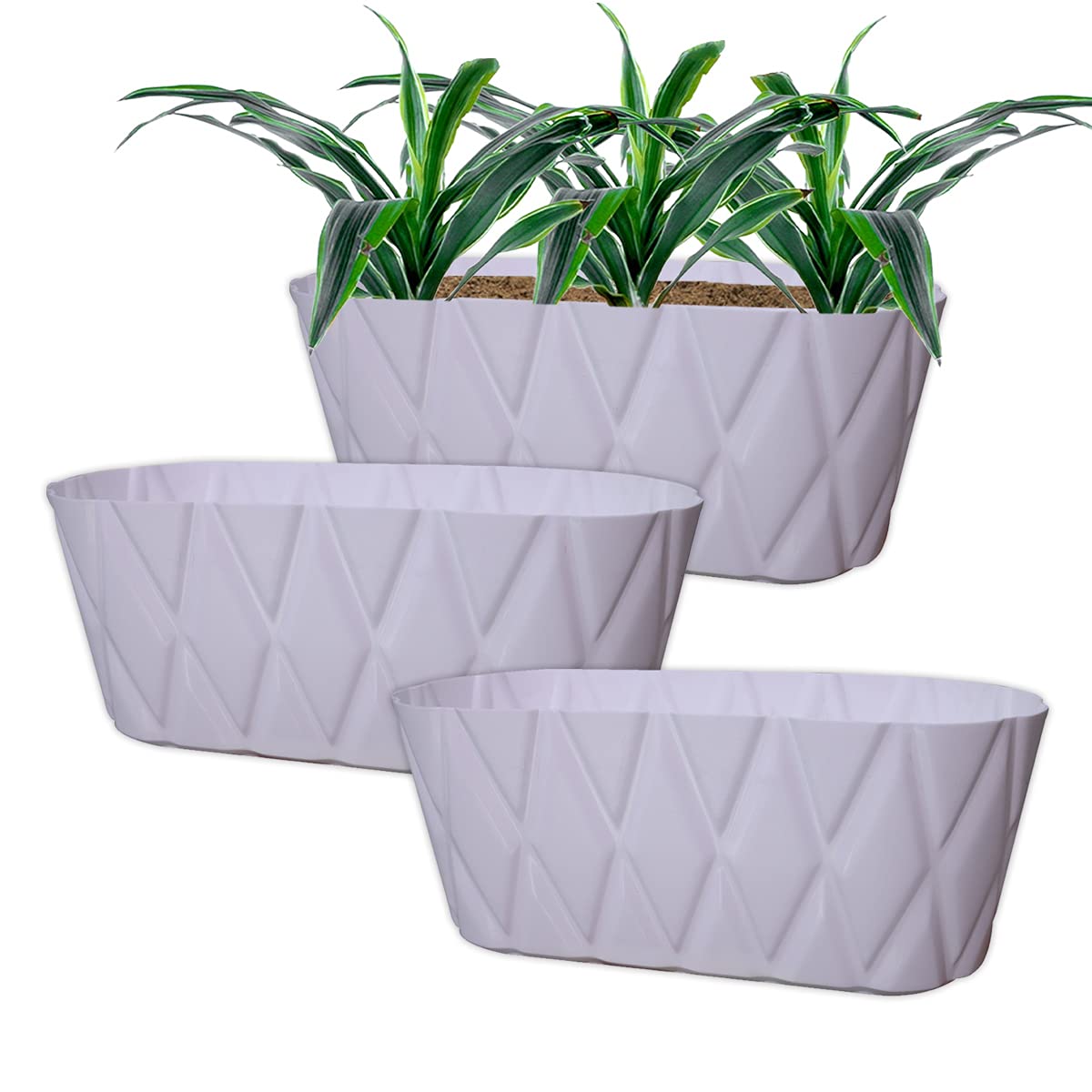 Greenri Solitaire Window (Pack of 3) Uv Resistant Plastic Flower Pot for Living Room, Outdoor & Indoor Rectangular Shape|Flawless Quality| Designer Gardening Flower Planter Pot (White Color) (B09GLYZR2P) Amazon Price History, Amazon Price Tracker